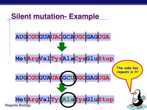 ‘Silent’ mutations found to have repercussions beyond their own .